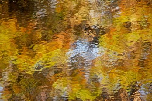 Seney National Wildlife Refuge;Upper Peninsular;Michigan;Great Lakes;Brown;Blue;Pond;Patterns;Fall;Lake;Autumn;Tan;Textures;Water;Yellow;Abstract